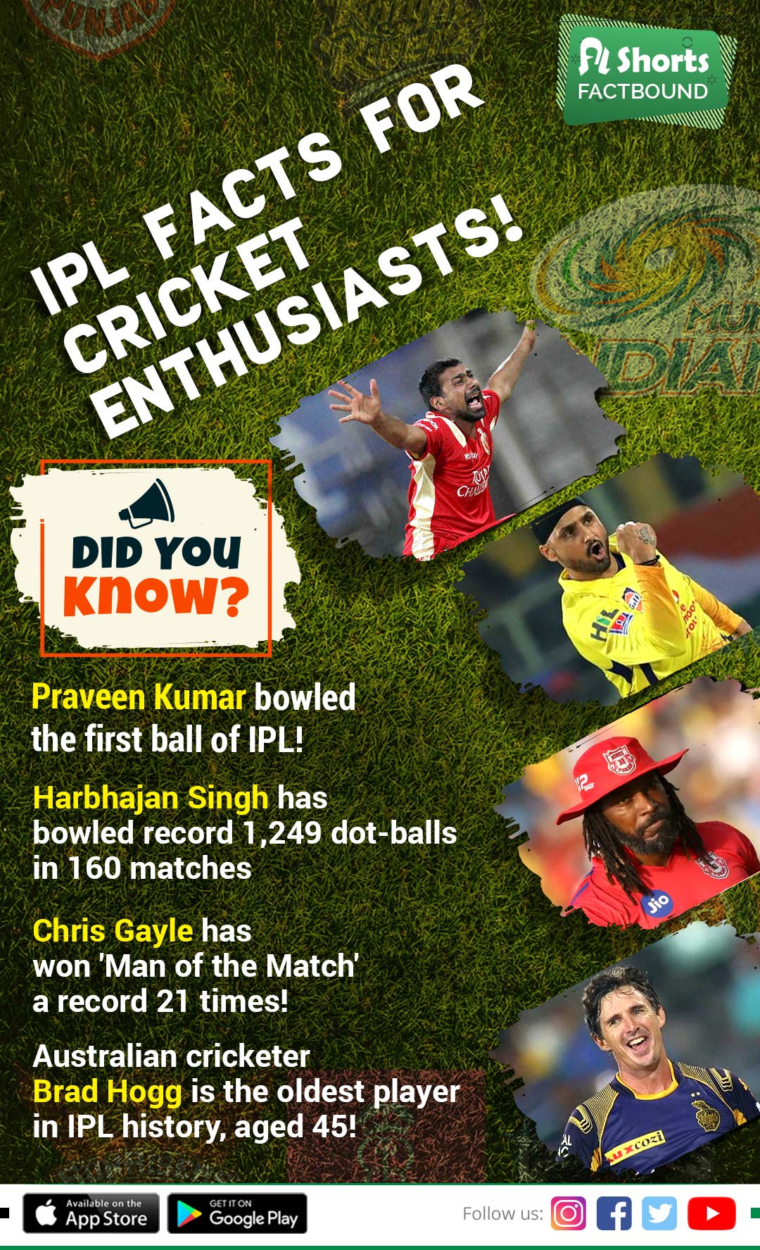 IPL Facts